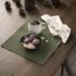 Серветки різдвяні Cloth Napkin 40×40 см: зелена серветка з чашкою та фруктами на дерев'яному столі