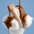 Блиск для губ LIPSS Salted Caramel 8 мл: бежева туба в креманці з морозивом і карамельним соусом