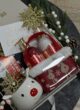 Бокс FROSTY CARE зблизька: червона косметичка з оленями, гель для душу та лосьйон, ялинкові гілки