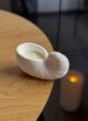 Бокс SOFT LUXE: біла свічка у формі мушлі на дерев'яному столі